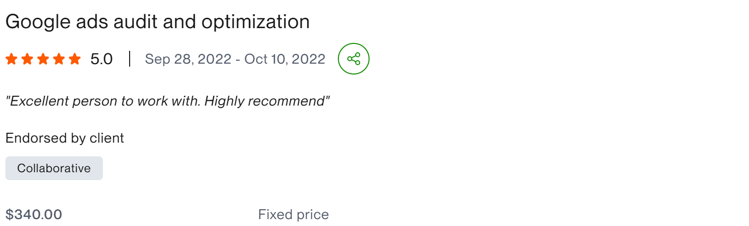 Google ads audit and optimization collaborative five star client result